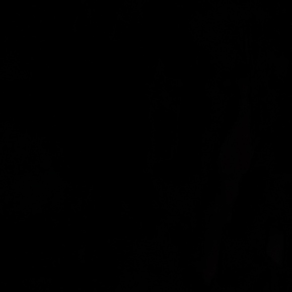 Meet your Posher, Gideon - Picture 1 of 1